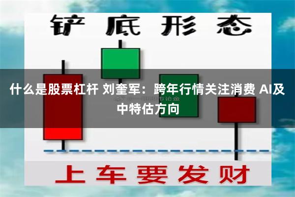 什么是股票杠杆 刘奎军:跨年行情关注消费 AI及中特估方向