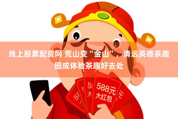 线上股票配资网 荒山变“金山”，清远英德茶趣园成体验茶趣好去处
