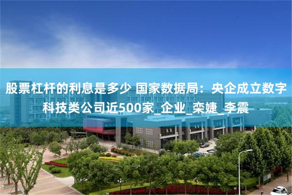 股票杠杆的利息是多少 国家数据局：央企成立数字科技类公司近500家_企业_栾婕_李震