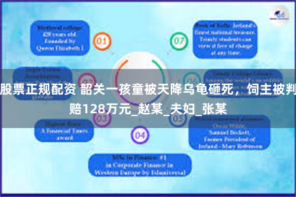 股票正规配资 韶关一孩童被天降乌龟砸死,饲主被判赔128万元_赵某_夫妇_张某