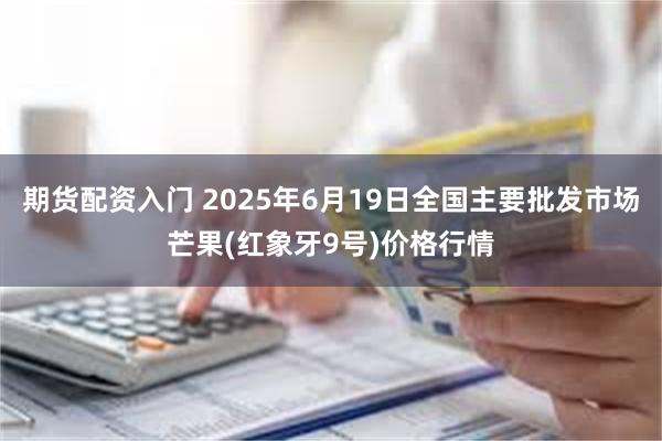 期货配资入门 2025年6月19日全国主要批发市场芒果(红象牙9号)价格行情